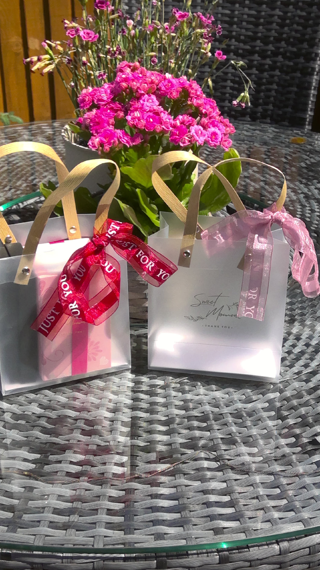 Frosted Bags with Ribbon